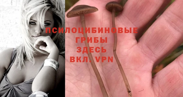 СК Алзамай