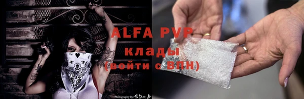 стафф Алексин