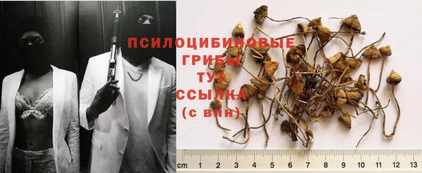 стафф Алексин