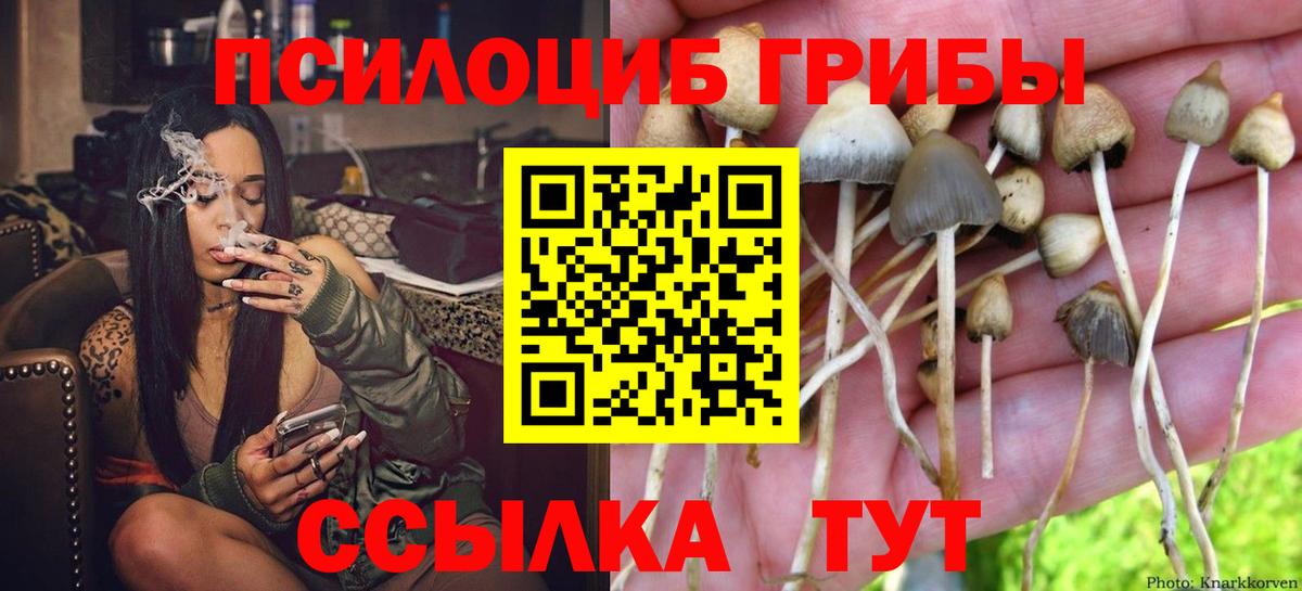 Галлюциногенные грибы Psilocybine cubensis  Вход с VPN  Глазов  Галлюциногенные грибы Psilocybe 